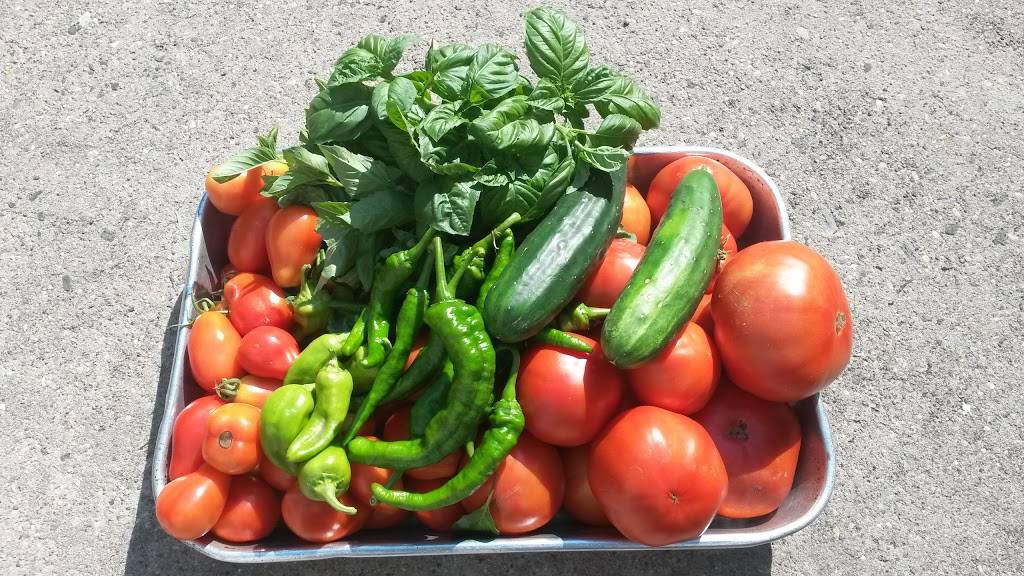 La Cucina Gourmet Caterers | restaurant | 8611 18th Ave, Brooklyn, NY 11214, USA | 7188378811 OR +1 718-837-8811