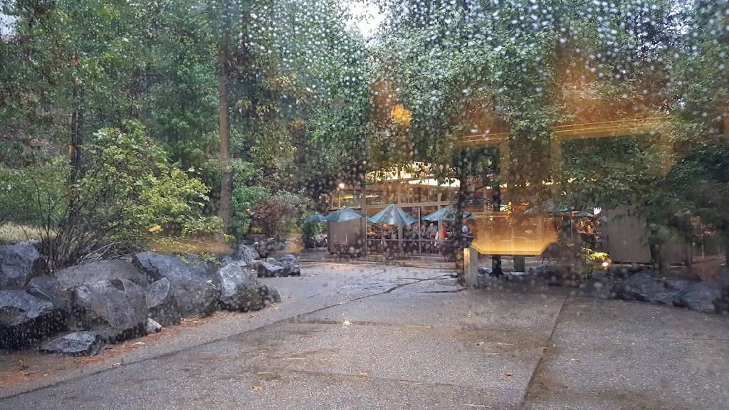 The Mountain Room | night club | Cedar 9006, Yosemite Lodge Dr, Yosemite Valley, CA 95389, USA | 2093721403 OR +1 209-372-1403