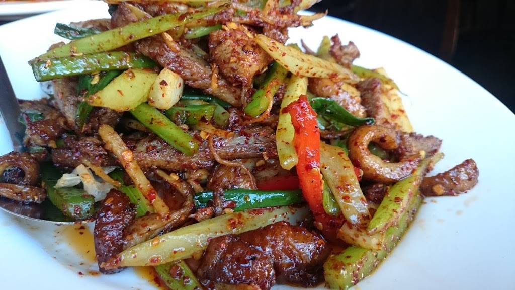 Han Dynasty | restaurant | 4356 Main St, Philadelphia, PA 19127, USA | 2155082066 OR +1 215-508-2066