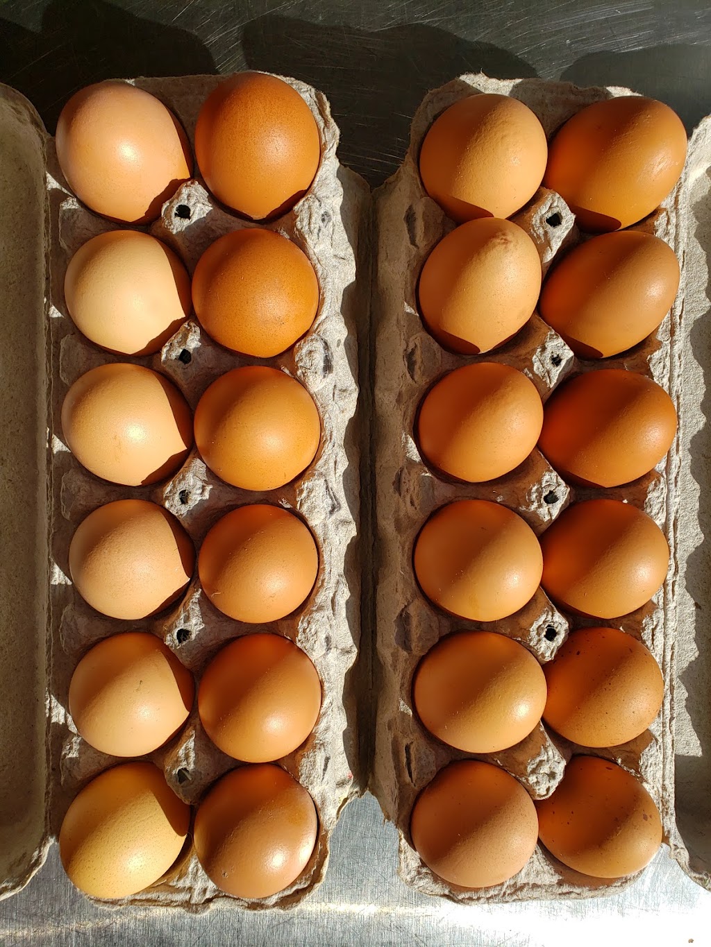 Uproot Meats | restaurant | 3152 Siskiyou Blvd, Ashland, OR 97520, USA | 4085049869 OR +1 408-504-9869