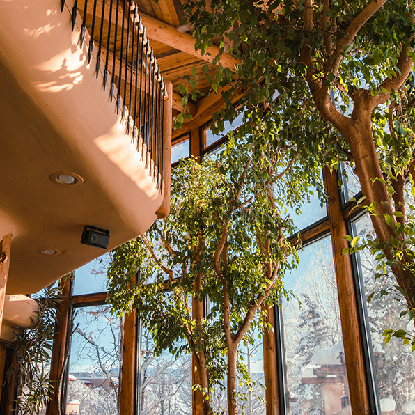 Four Corners | restaurant | 304 S Lena St, Ridgway, CO 81432, USA | 8006335868 OR +1 800-633-5868