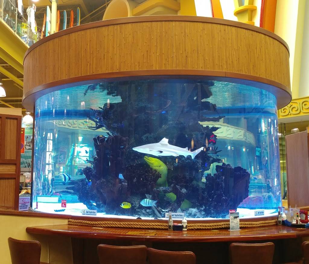 Shark Pit Bar & Grill | restaurant | 4001 N Atlantic Ave, Cocoa Beach, FL 32931, USA | 3218688952 OR +1 321-868-8952