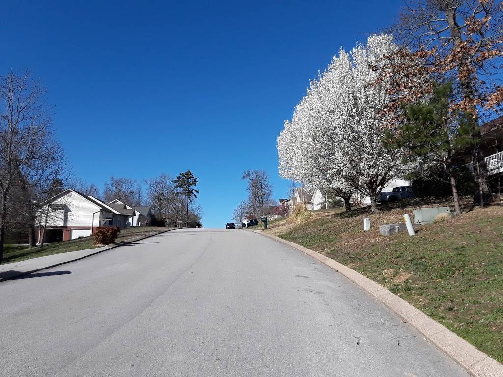 Lisas Sweet Treats | meal takeaway | 10211 Baker Boy Dr, Ooltewah, TN 37363, USA | 4233260873 OR +1 423-326-0873