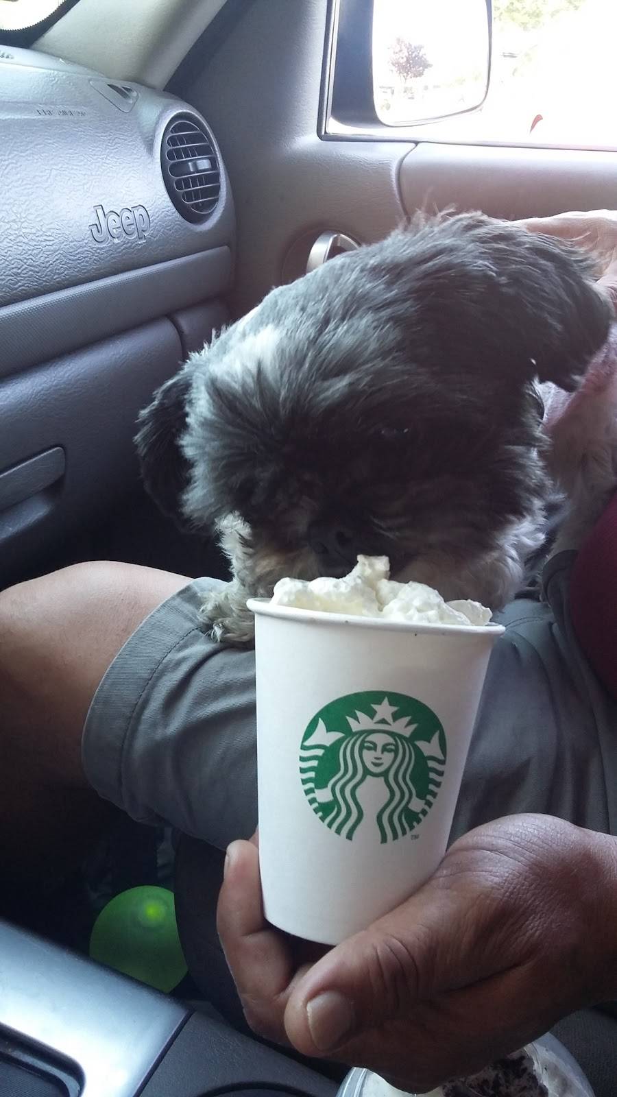 Starbucks | cafe | 35 Jenners Village Court, West Grove, PA 19390, USA | 6108696230 OR +1 610-869-6230