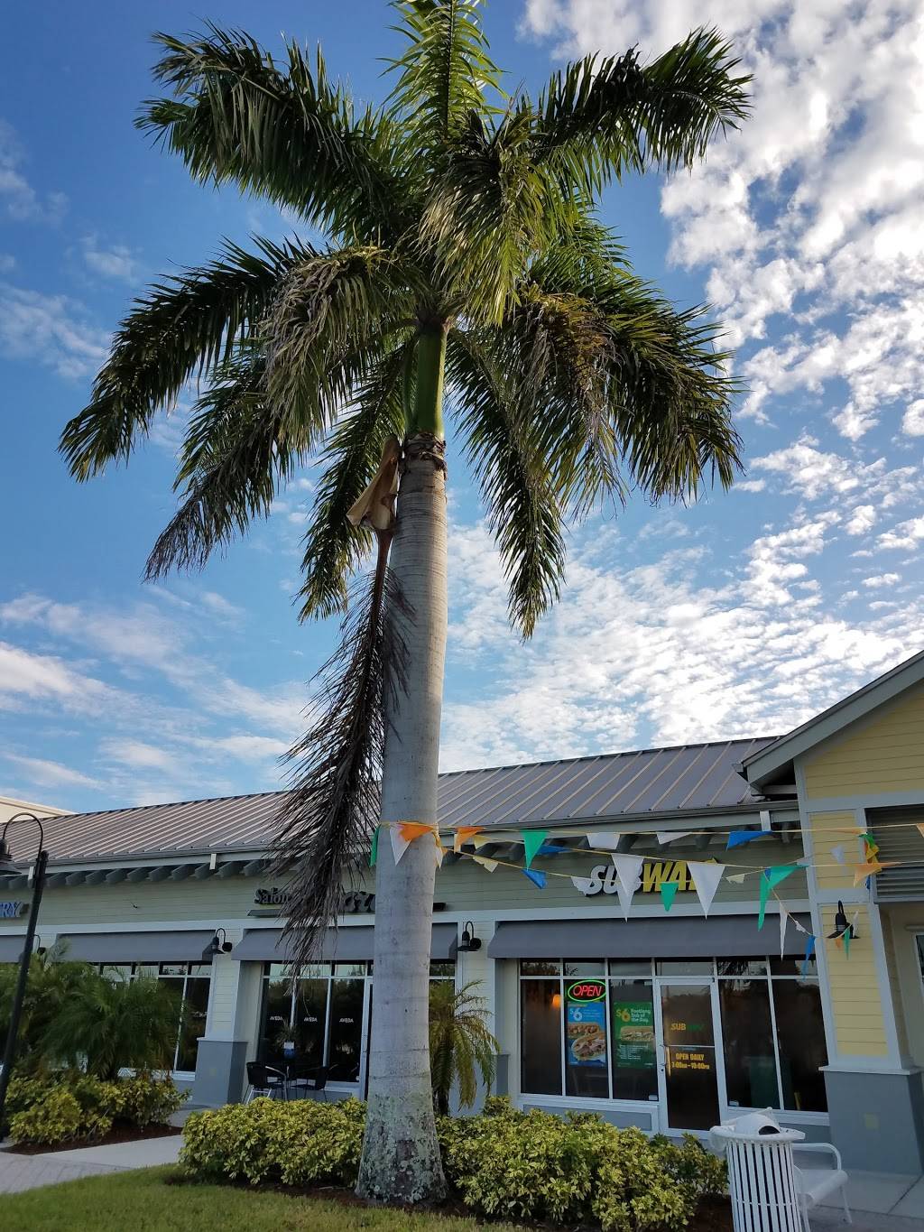 Subway Restaurants | restaurant | 3015 Pine Island Rd SW Ste 116 Publix at Coral Shores, Cape Coral, FL 33991, USA | 2392822283 OR +1 239-282-2283