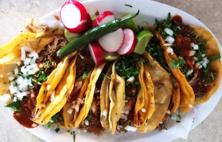 664 TJ BIRRIERIA | restaurant | 658 Hollister St, San Diego, CA 92154, USA | 6192403880 OR +1 619-240-3880