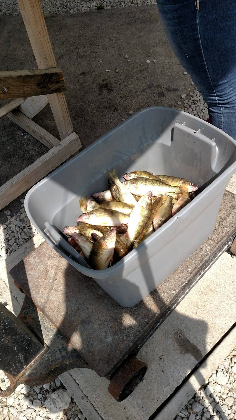 Wild Wings Restaurant & Lounge | restaurant | 9055 W, OH-2, Oak Harbor, OH 43449, USA | 4198982328 OR +1 419-898-2328