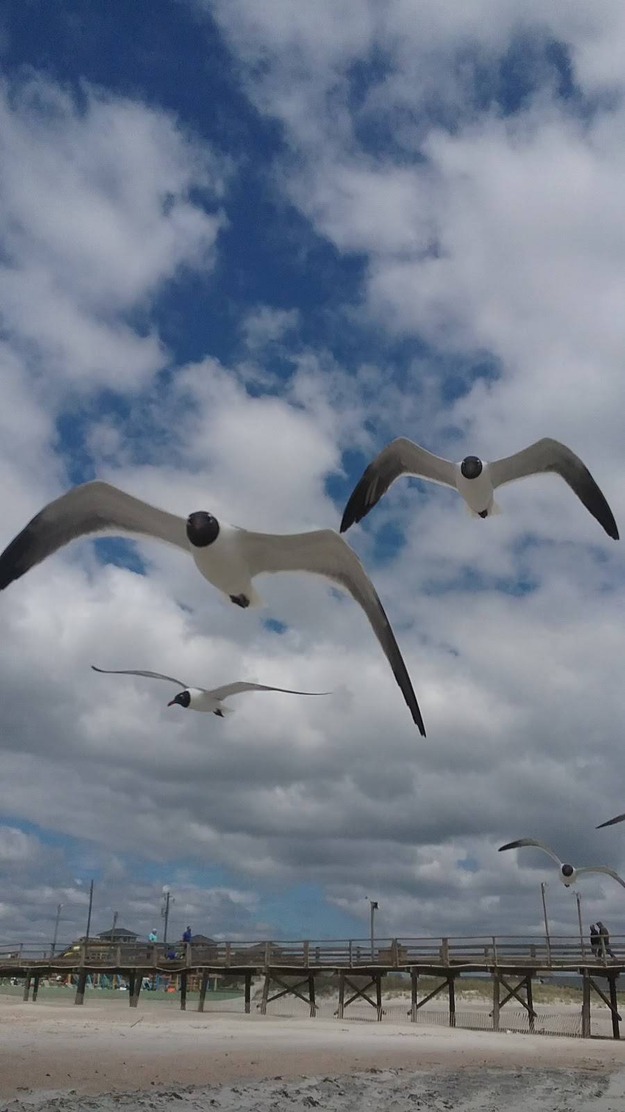 Oceanana Pier | restaurant | e 28512, 614 E Fort Macon Rd, Atlantic Beach, NC 28512, USA | 2527264111 OR +1 252-726-4111