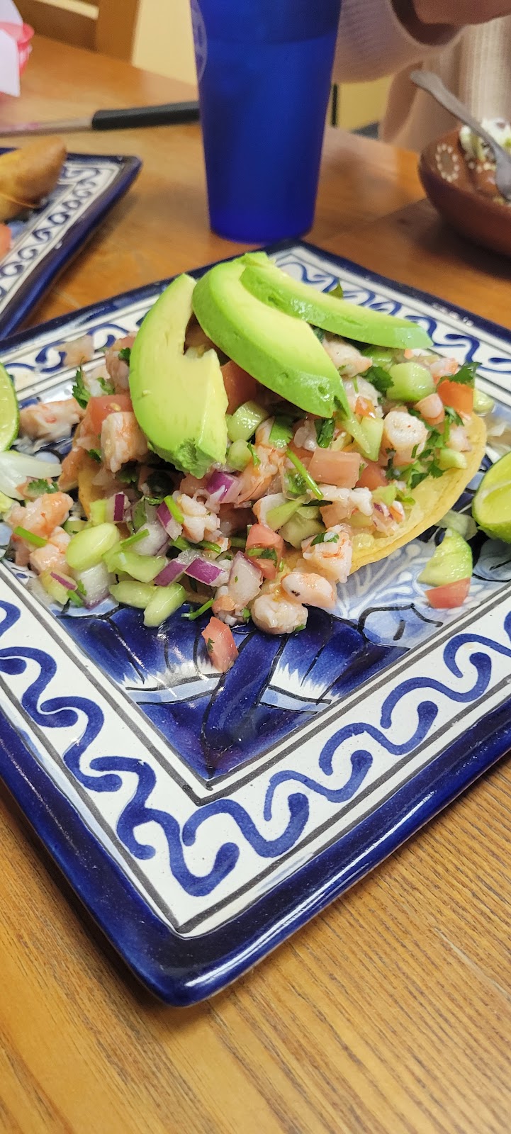 Tierra Mia Mexican Grill | restaurant | 1731 W Katella Ave, Anaheim, CA 92804, USA | 7147749672 OR +1 714-774-9672