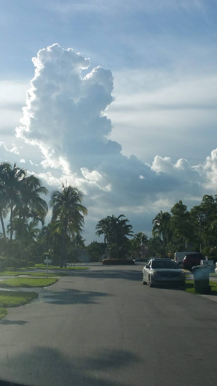 Rainbow Dragon | restaurant | 17523 Pines Blvd, Pembroke Pines, FL 33029, USA | 9543929774 OR +1 954-392-9774