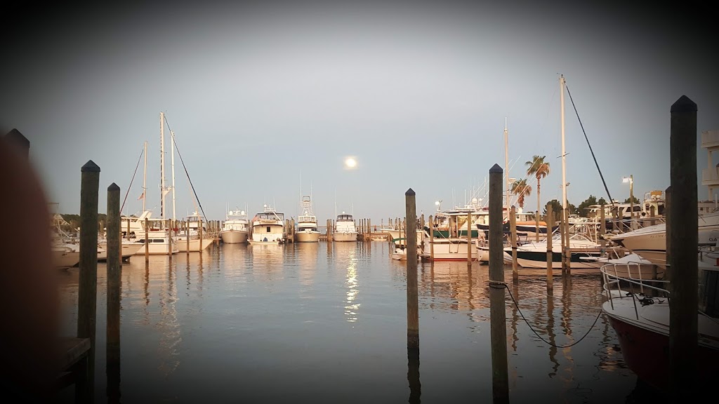 Oyster Bar Restaurant and Marina | restaurant | 13700 River Rd, Pensacola, FL 32507, USA | 8504925600 OR +1 850-492-5600