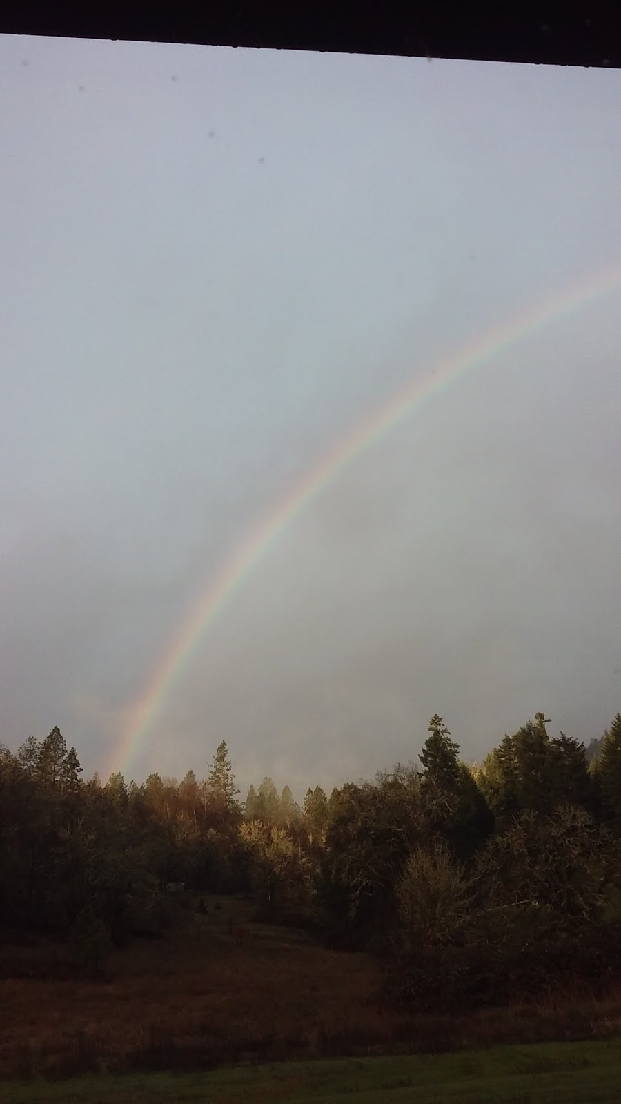 Riverbanks Market | meal takeaway | 5635 Riverbanks Rd, Grants Pass, OR 97527, USA | 5414717183 OR +1 541-471-7183