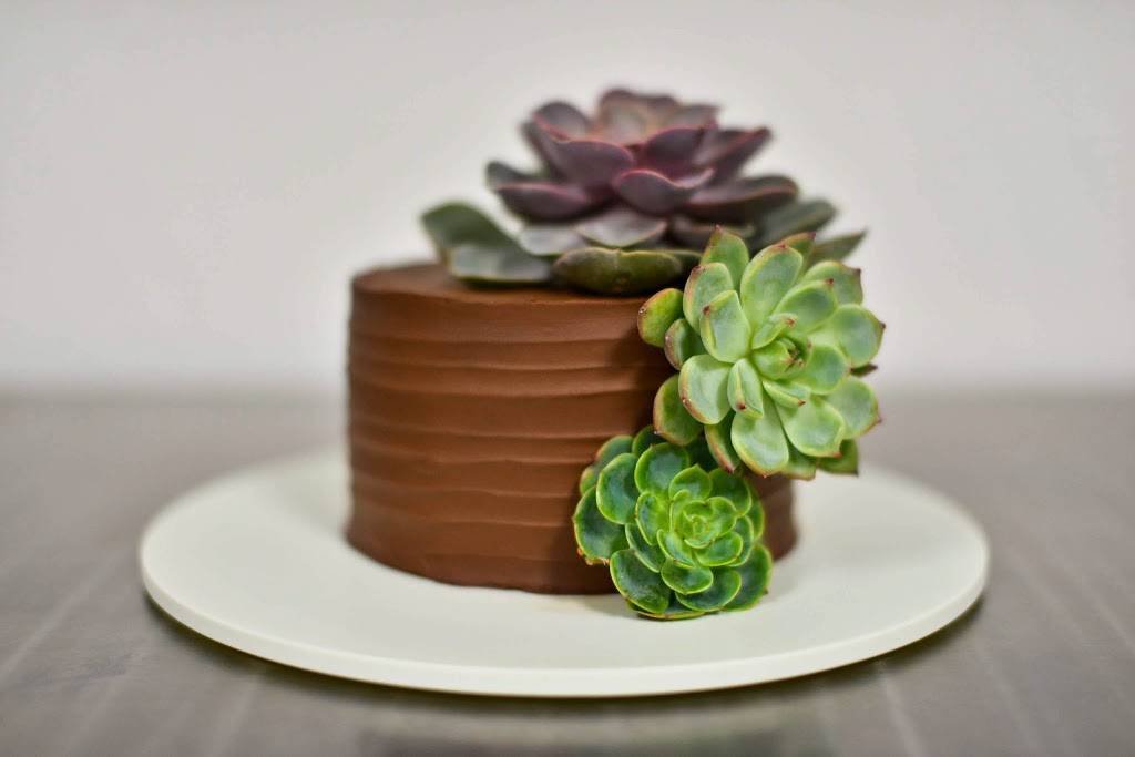 Dash and a Handful Catering | restaurant | 2100 N Palm Canyon Dr #104, Palm Springs, CA 92262, USA | 7608835333 OR +1 760-883-5333