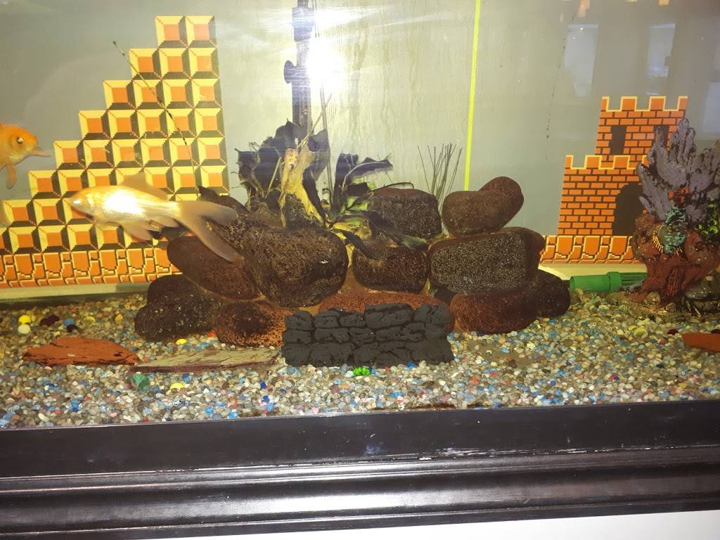 Luigis Lasagna & Pizzeria | restaurant | 17 Commercial St, Milton, ON L9T 2H6, Canada | 9058649442 OR +1 905-864-9442