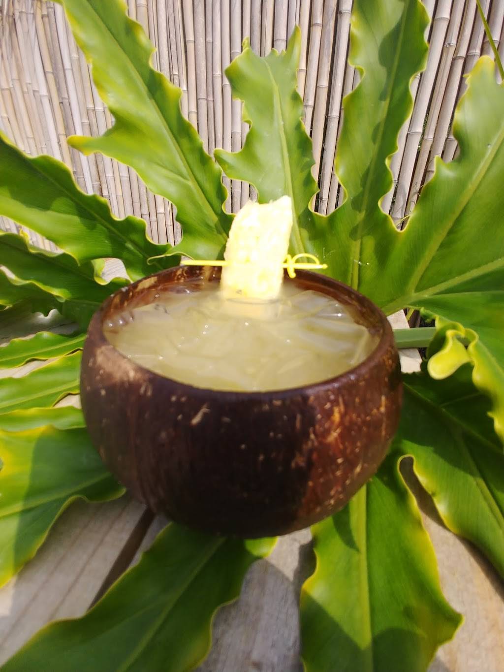 Seagrass Waterfront & Tiki Bar | restaurant | 10386 W Halls River Rd, Homosassa, FL 34448, USA | 3525032007 OR +1 352-503-2007