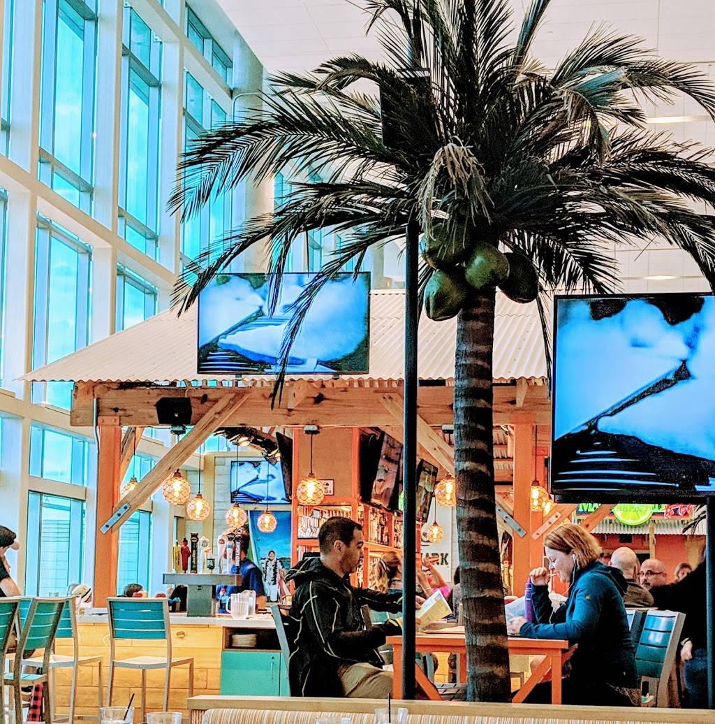 Air Margaritaville Restaurant | restaurant | F3, Fort Lauderdale International airport, Terminal Dr, Fort Lauderdale, FL 33315, USA | 2402716115 OR +1 240-271-6115