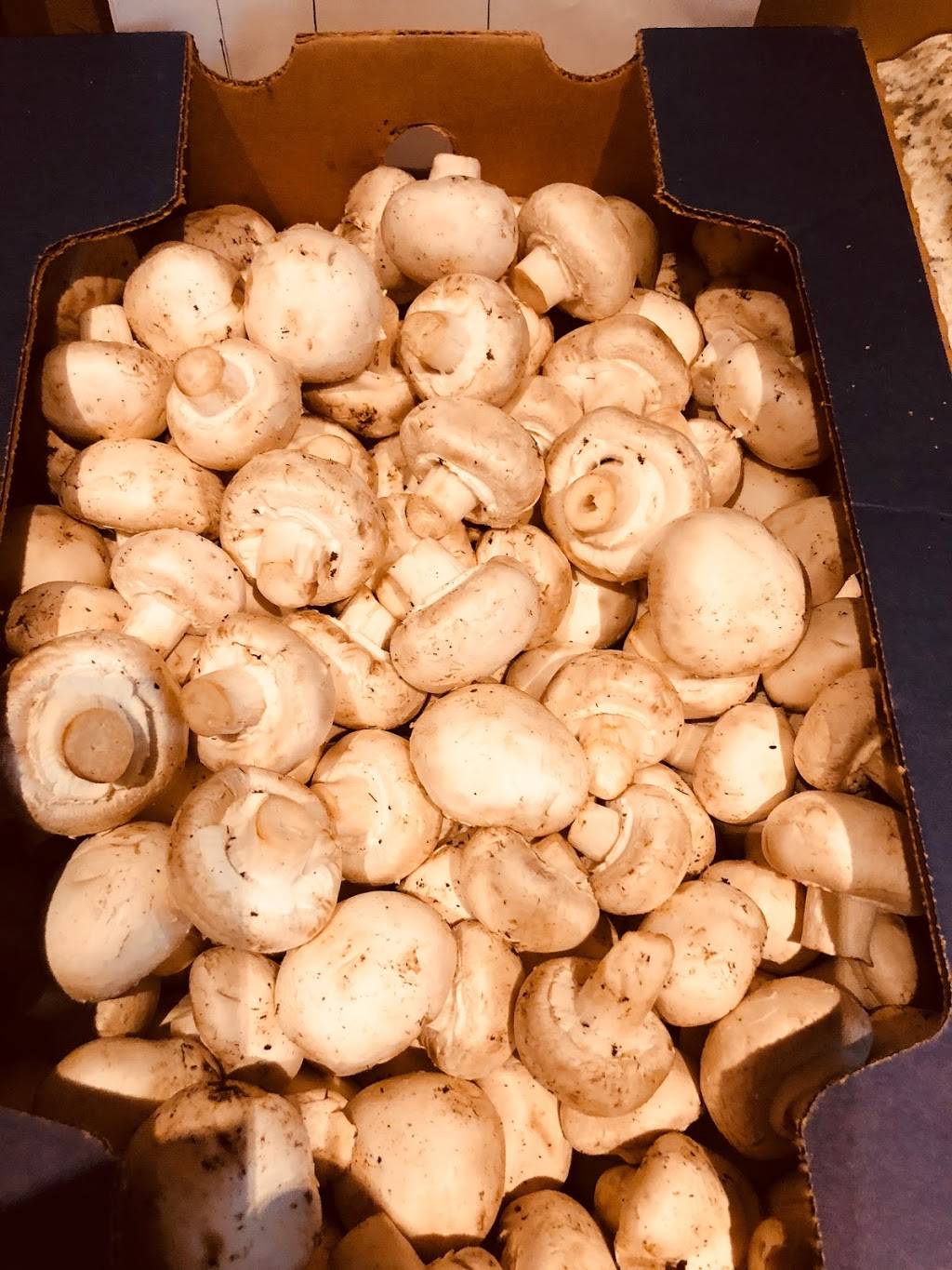 Portobello Cafe | cafe | 4221 Hylan Blvd, Staten Island, NY 10308, USA | 7183562233 OR +1 718-356-2233