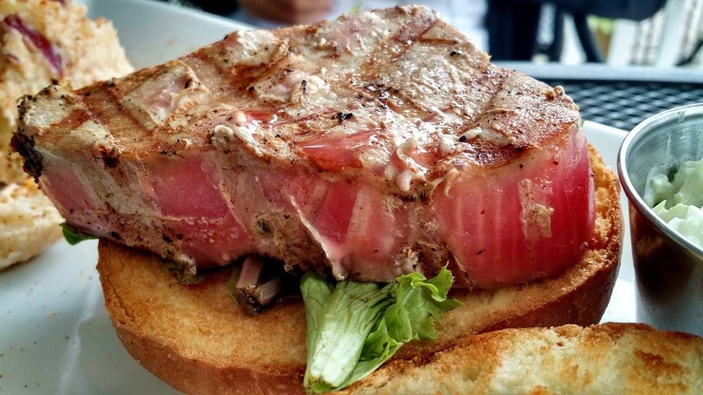 Port House Grill | restaurant | 15 N Main St, North East, MD 21901, USA | 4438776539 OR +1 443-877-6539