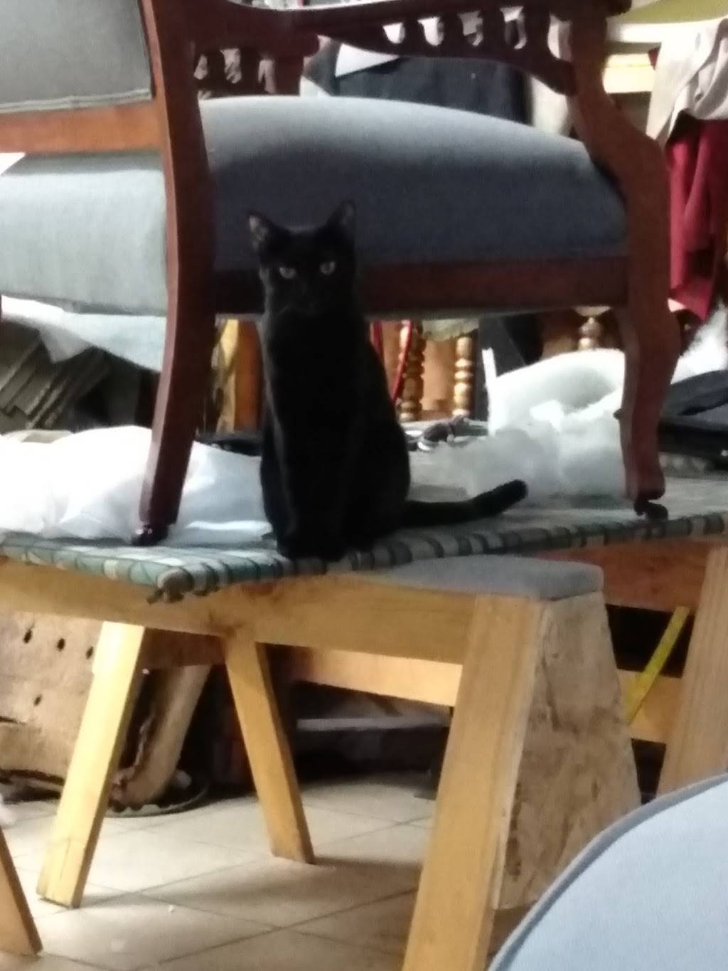 Chicken and Ribs | restaurant | 625 N Azusa Ave, Azusa, CA 91702, USA | 6263348220 OR +1 626-334-8220