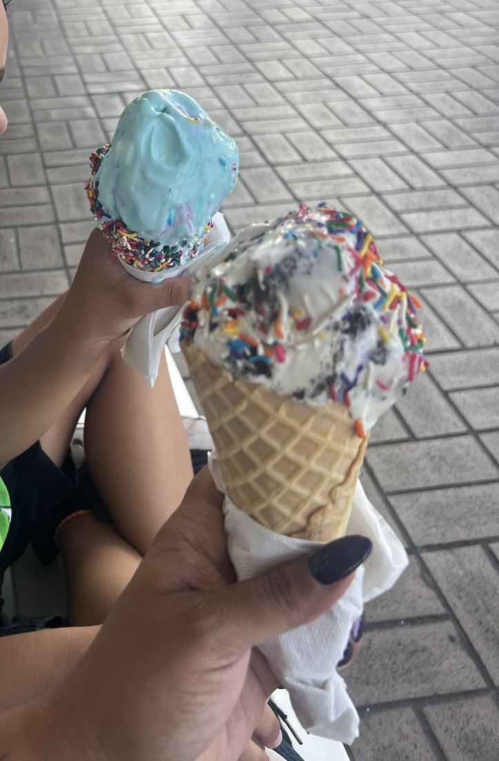 Whipn Dip Ice Cream Shoppe Of Palmetto Bay | restaurant | 14475 S Dixie Hwy, Palmetto Bay, FL 33176, USA | 3059647514 OR +1 305-964-7514