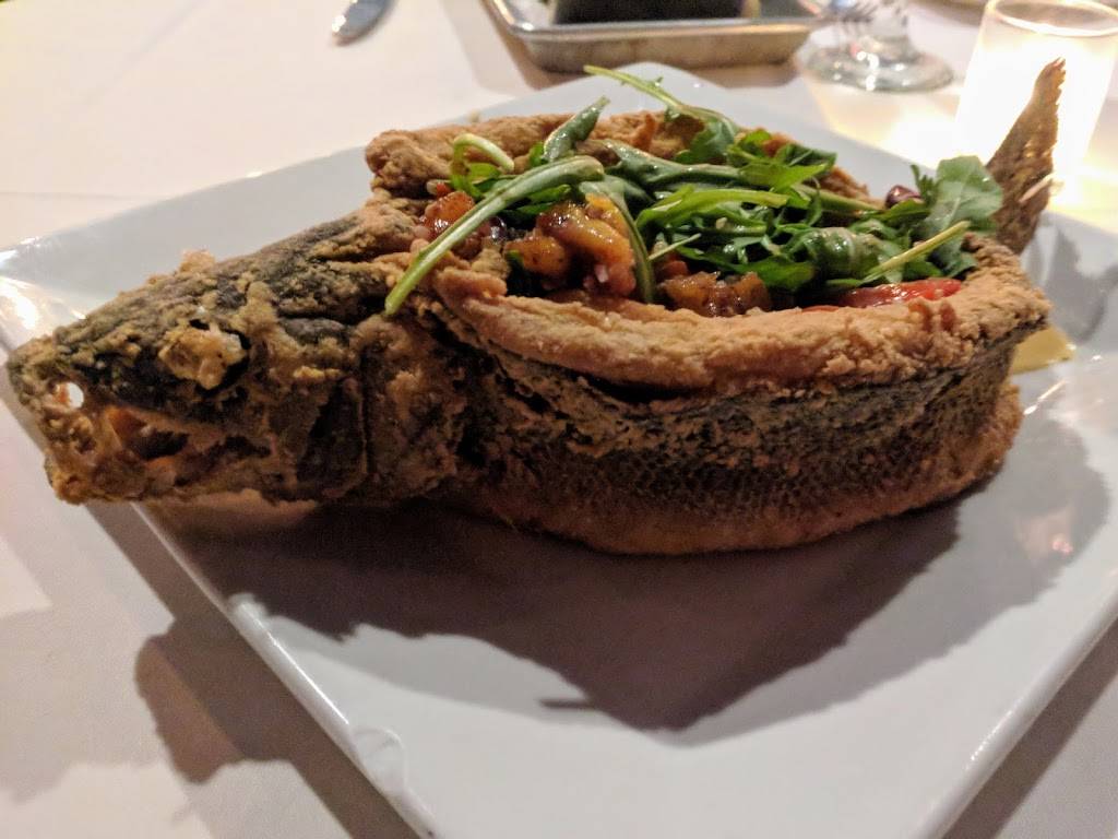 Pacifico | meal takeaway | 220 College St, New Haven, CT 06510, USA | 2037724002 OR +1 203-772-4002