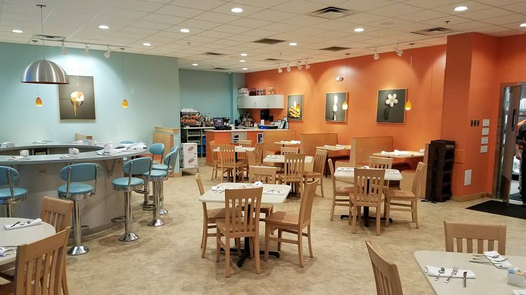 Wild Eggs Oakley | restaurant | 3240 Vandercar Way, Cincinnati, OH 45209, USA | 5132858802 OR +1 513-285-8802