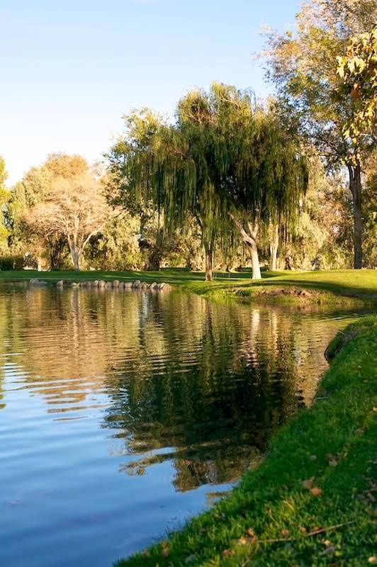 Antelope Valley Country Club | night club | 39800 Country Club Dr, Palmdale, CA 93551, USA | 6619473142 OR +1 661-947-3142