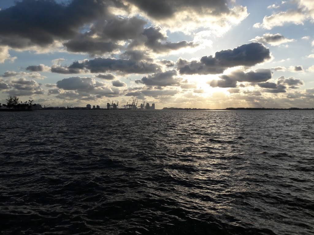 Crazy About You | night club | 1155 Brickell Bay Dr #101, Miami, FL 33131, USA | 3053774442 OR +1 305-377-4442