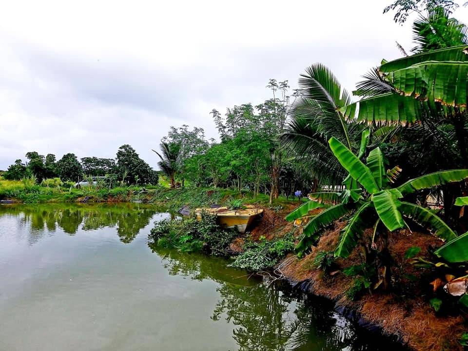 Famous Kahuku Shrimp | restaurant | 67-21 Waialua Beach Rd, Waialua, HI 96791, USA | 8083891173 OR +1 808-389-1173