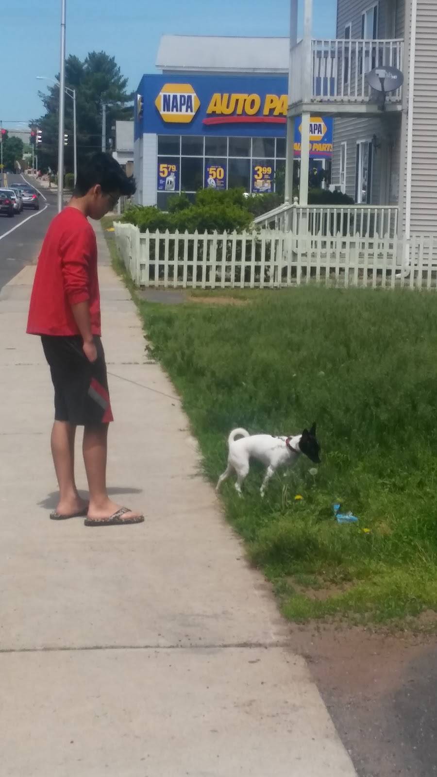 Jin Yungs House | restaurant | 315 S Main St, New Britain, CT 06051, USA | 8608016295 OR +1 860-801-6295