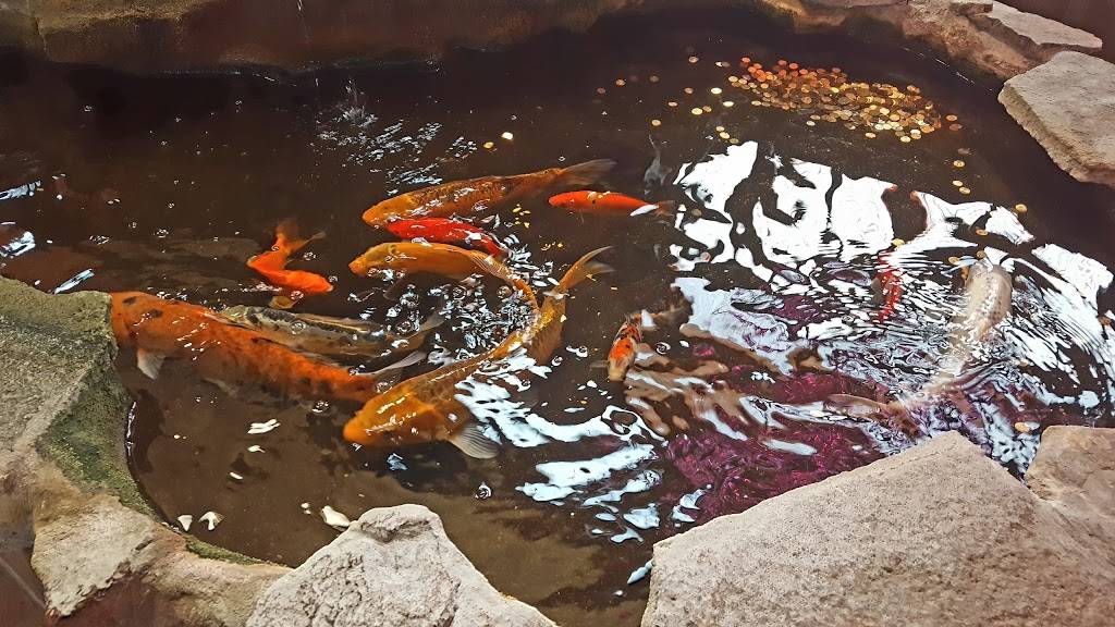 Naka Sushi | restaurant | 1035 Juan Tabo Blvd NE, Albuquerque, NM 87112, USA | 5052009152 OR +1 505-200-9152