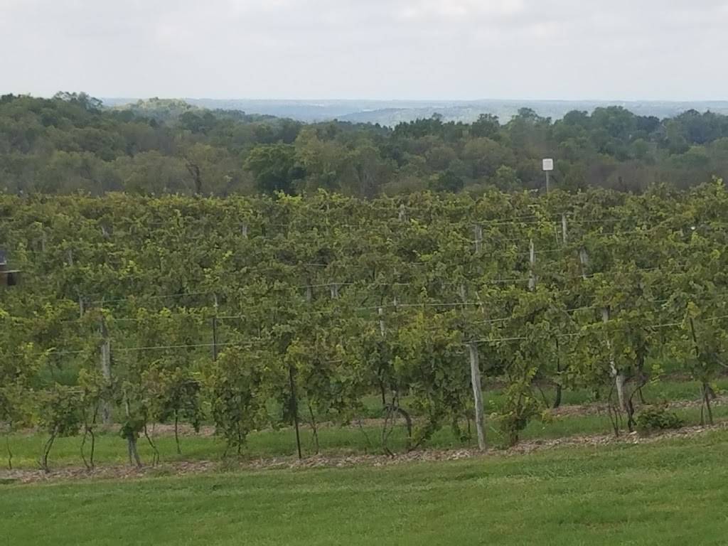 Vinoklet Winery & Restaurant | restaurant | 11069 Colerain Ave, Cincinnati, OH 45252, USA | 5133859309 OR +1 513-385-9309