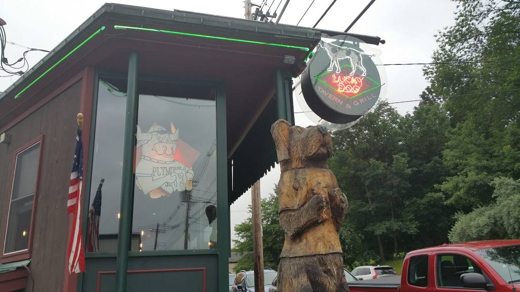 Lucky Dog Tavern & Grill | restaurant | 53 South Main St, Plymouth, NH 03264, USA | 6035362260 OR +1 603-536-2260