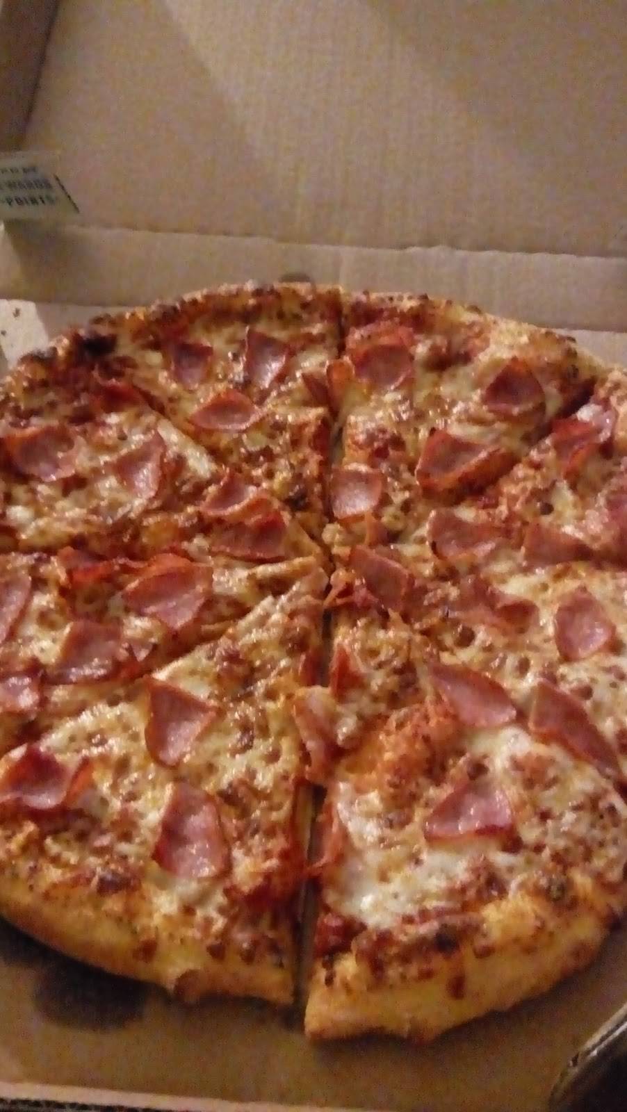 Dominos Pizza | meal delivery | 1236 Francis St, Jackson, MI 49203, USA | 5177870505 OR +1 517-787-0505