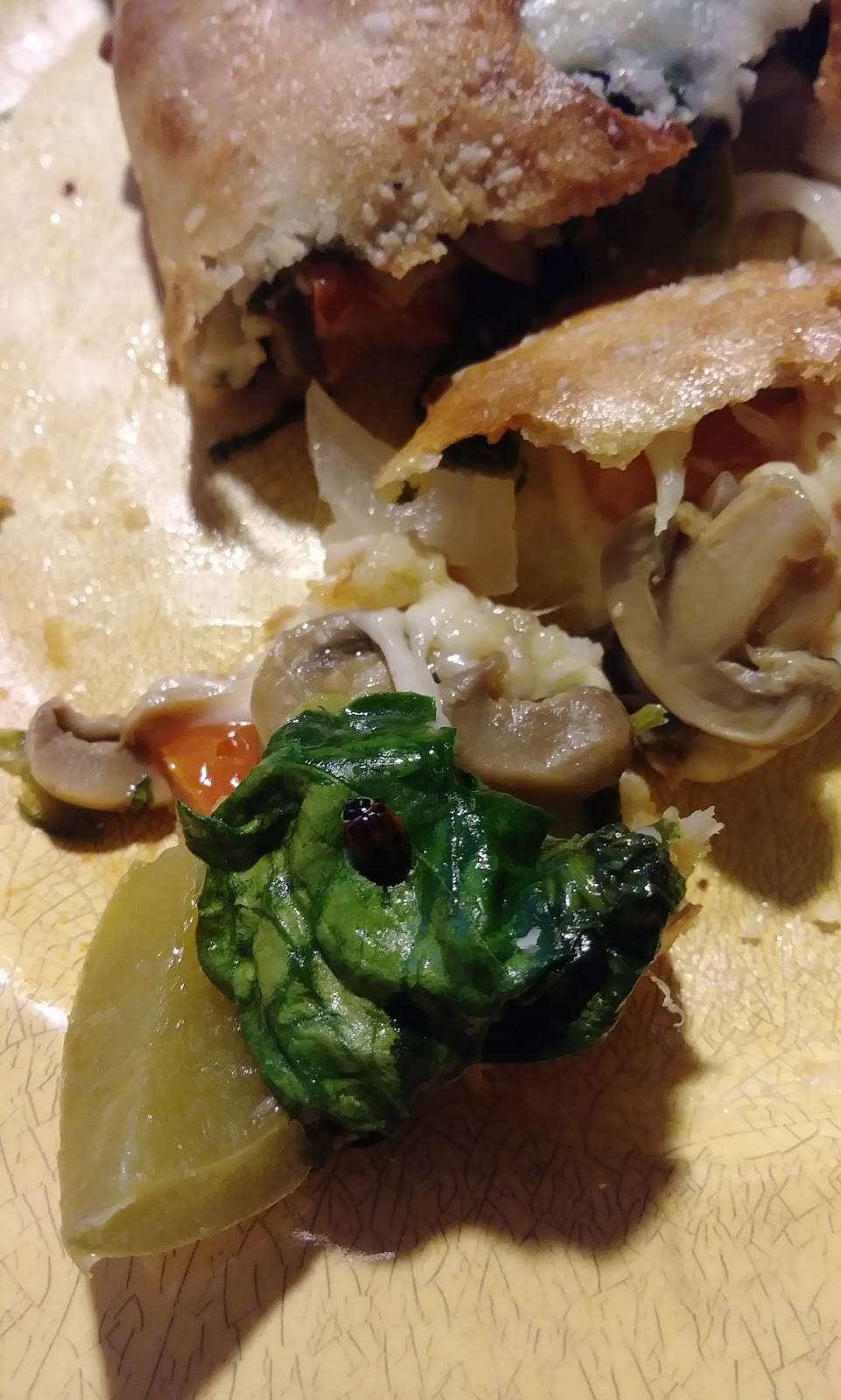 NY Giant Pizza & Grill | meal delivery | 5643 E Colonial Dr, Orlando, FL 32807, USA | 4072708588 OR +1 407-270-8588