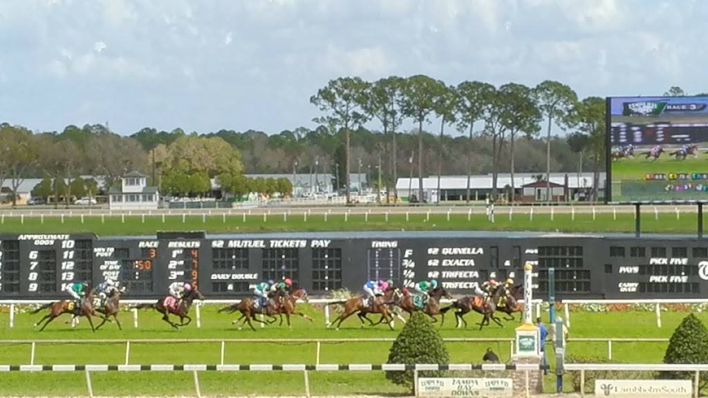 Tampa Bay Downs | restaurant | 11225 Race Track Rd, Tampa, FL 33626, USA | 8138554401 OR +1 813-855-4401