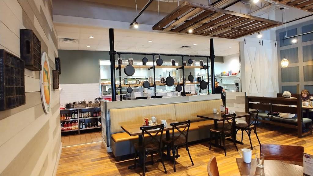 First Watch | cafe | 1765 Dunlawton Ave #104, Port Orange, FL 32129, USA | 3866268018 OR +1 386-626-8018