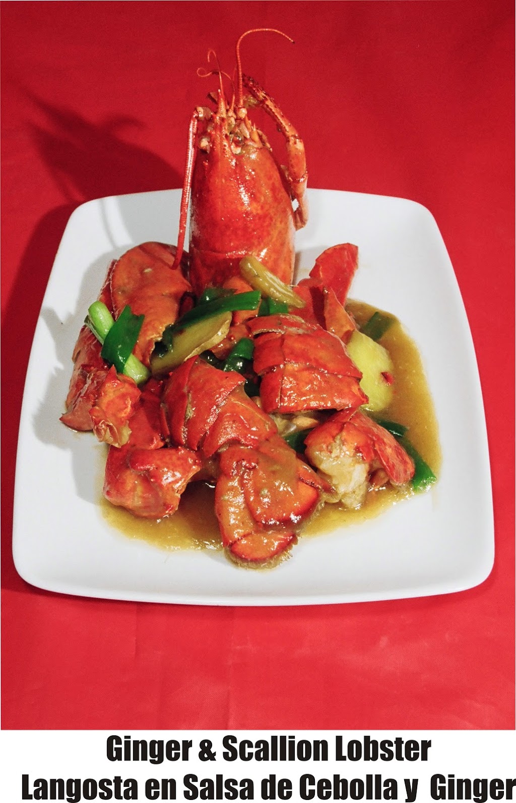 Chinese Dragon | meal delivery | 380 Chelsea St, East Boston, MA 02128, USA | 6175690300 OR +1 617-569-0300