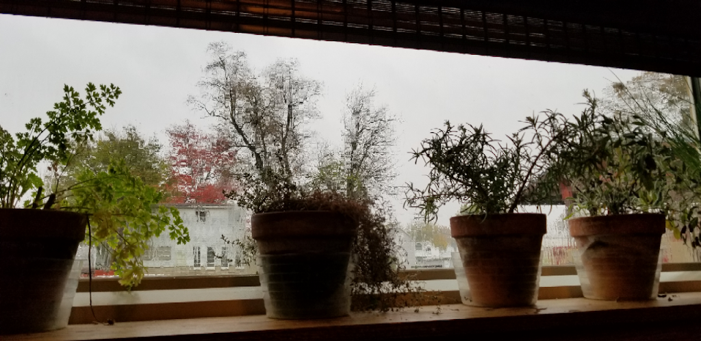 Market Street Soup & Salad | restaurant | 312 N Main St, Huntingburg, IN 47542, USA | 8126849010 OR +1 812-684-9010