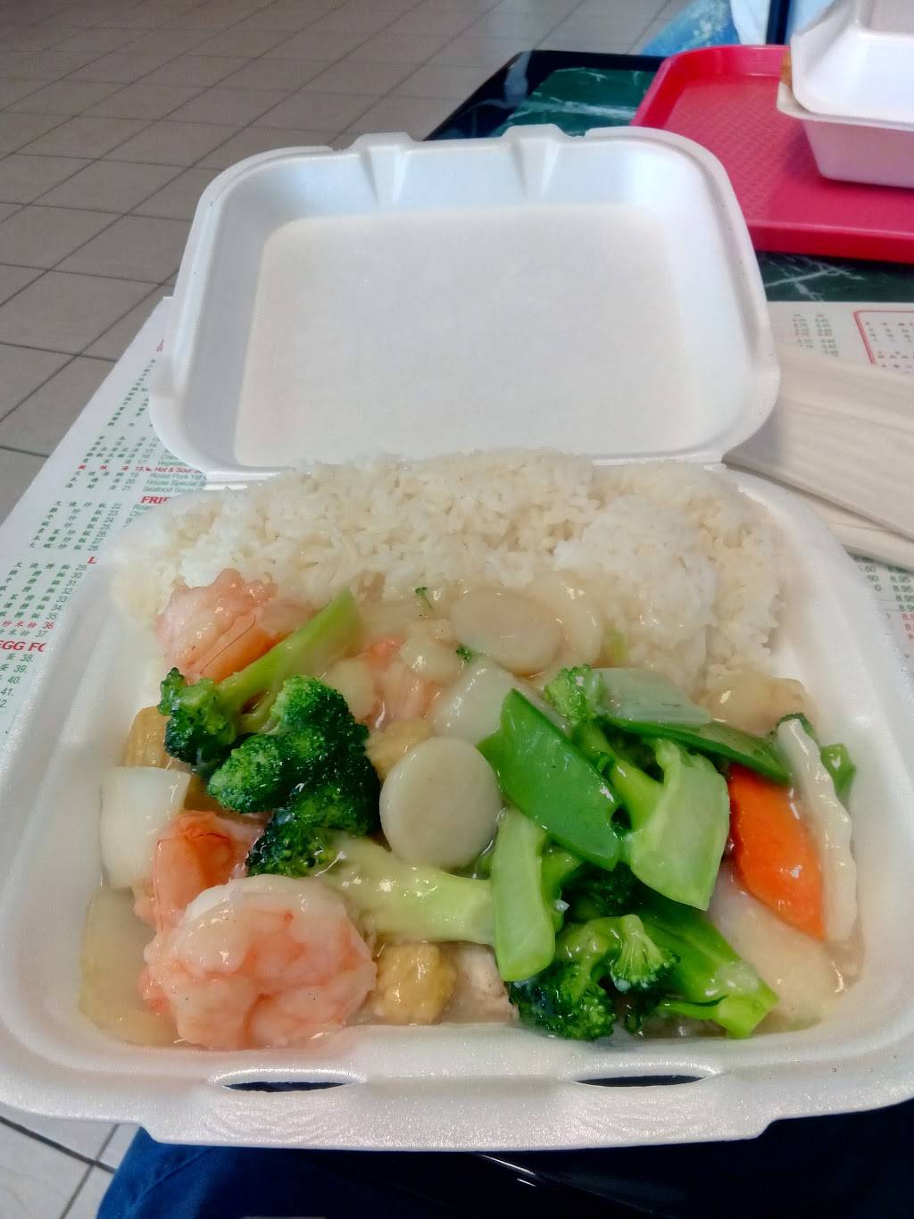 China 1 | restaurant | 2535 N Dale Mabry Hwy, Tampa, FL 33607, USA | 8138758881 OR +1 813-875-8881