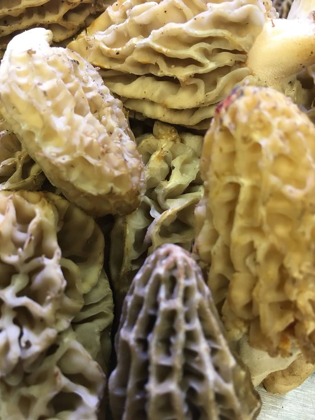 Baumé | restaurant | 201 California Ave, Palo Alto, CA 94306, USA | 6503288899 OR +1 650-328-8899