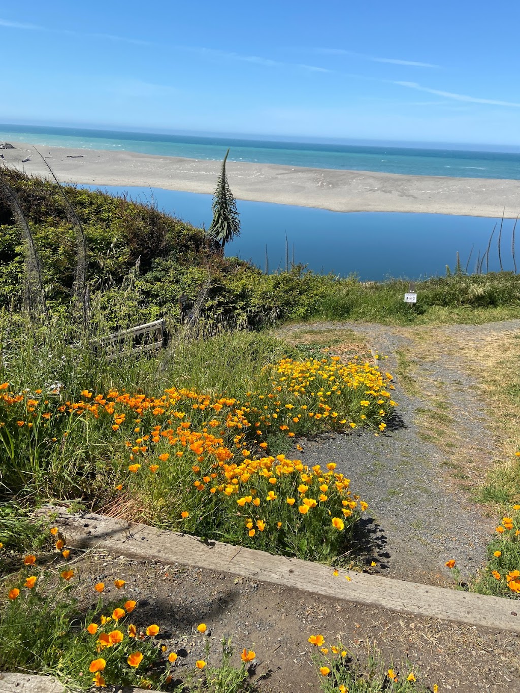 Vue Kitchen | restaurant | 39300 S, CA-1, Gualala, CA 95445, USA | 7078849180 OR +1 707-884-9180