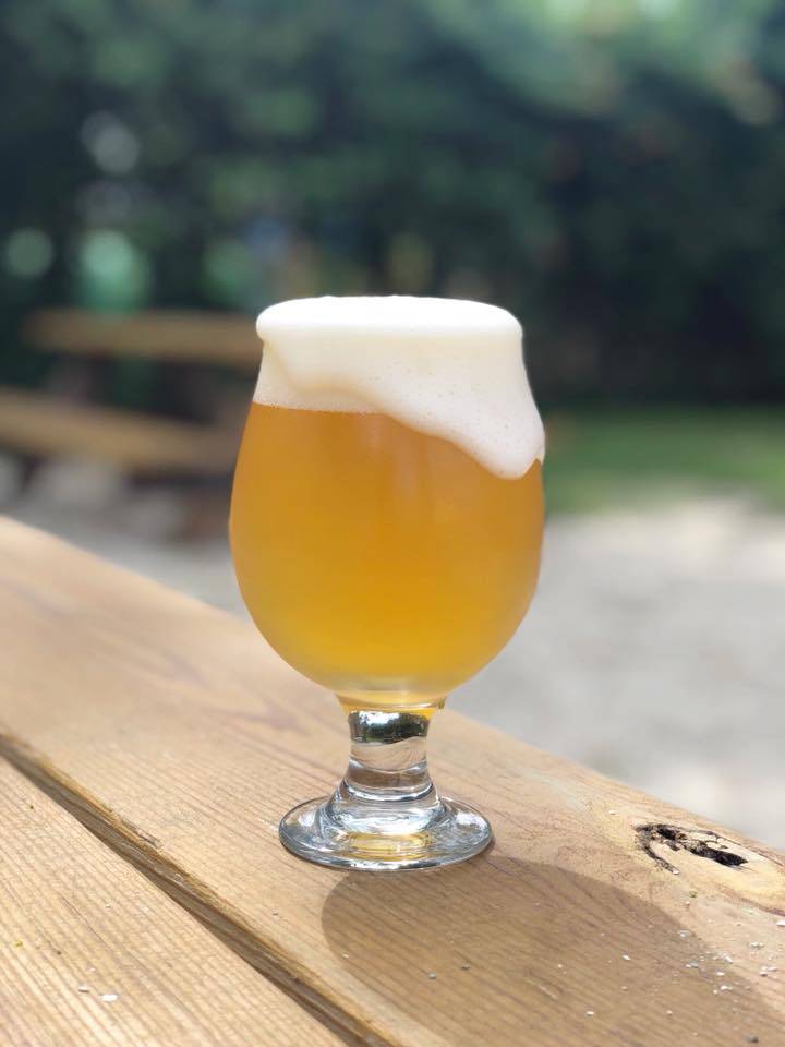 Bog Brewing Company | restaurant | 218 W King St, St. Augustine, FL 32084, USA | 9046793146 OR +1 904-679-3146