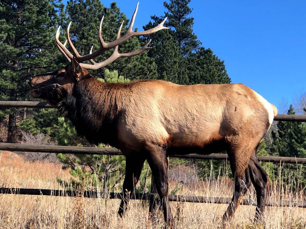 Estes Park 18-Hole Golf Course (Closed for Season) | restaurant | 1480 Golf Course Rd, Estes Park, CO 80517, USA | 9705868146 OR +1 970-586-8146