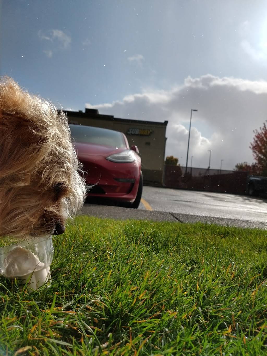 Dairy Queen | restaurant | 1015 E Wishkah St, Aberdeen, WA 98520, USA | 3605325171 OR +1 360-532-5171