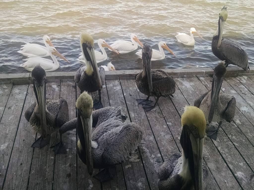 Judah & Son | restaurant | 13390 N Indian River Dr, Sebastian, FL 32958, USA | 7725895315 OR +1 772-589-5315