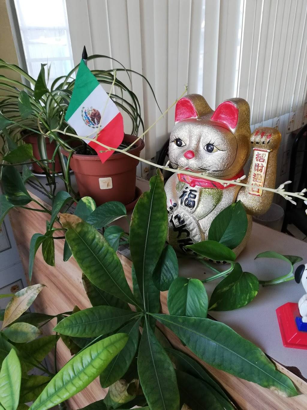 RESTAURANT NUEVA RICA CHINA | restaurant | Calle 7 Aquiles Serdán 10995, Libertad, 22400 Tijuana, B.C., Mexico | 016643782088 OR +52 664 378 2088