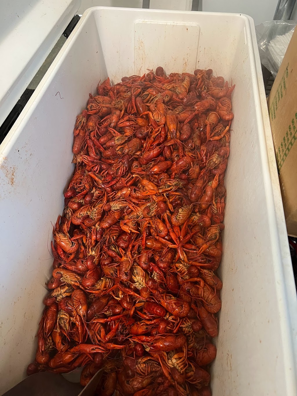 The crawdad hut | restaurant | 3147 W Oak St # A, Jena, LA 71342, USA | 3186137635 OR +1 318-613-7635