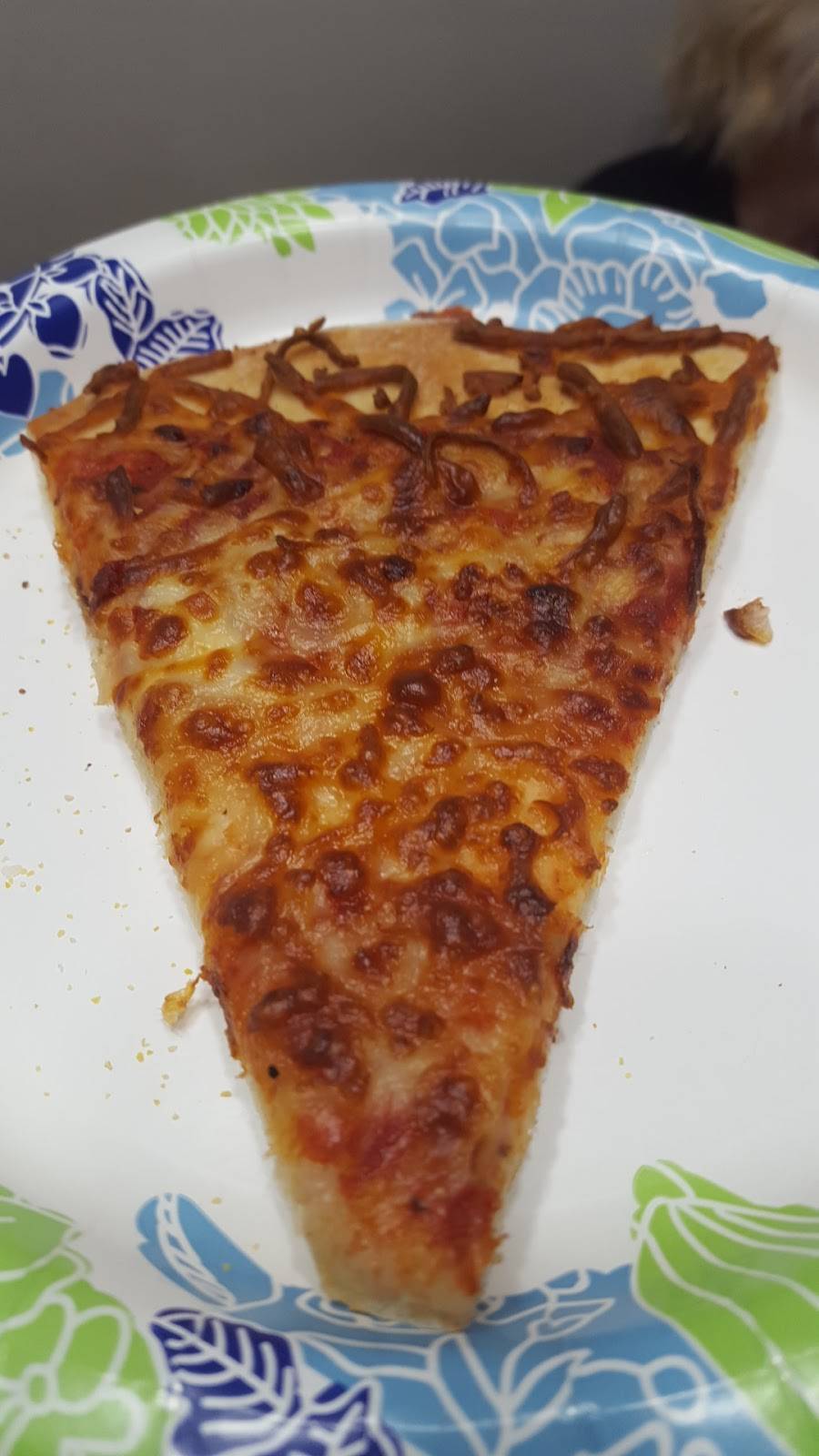 Little Caesars Pizza | meal takeaway | S69W15465 Janesville Rd, Muskego, WI 53150, USA | 2624325700 OR +1 262-432-5700