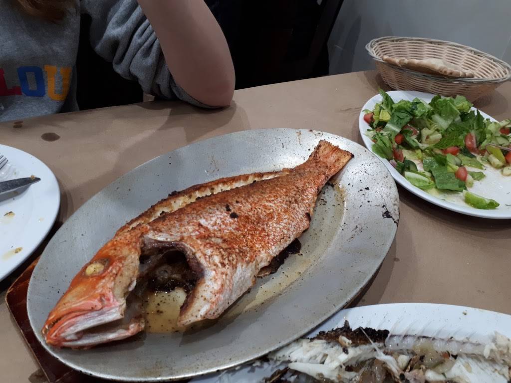 Abuqir | restaurant | 24-19 Steinway St, Astoria, NY 11103, USA | 7182743474 OR +1 718-274-3474